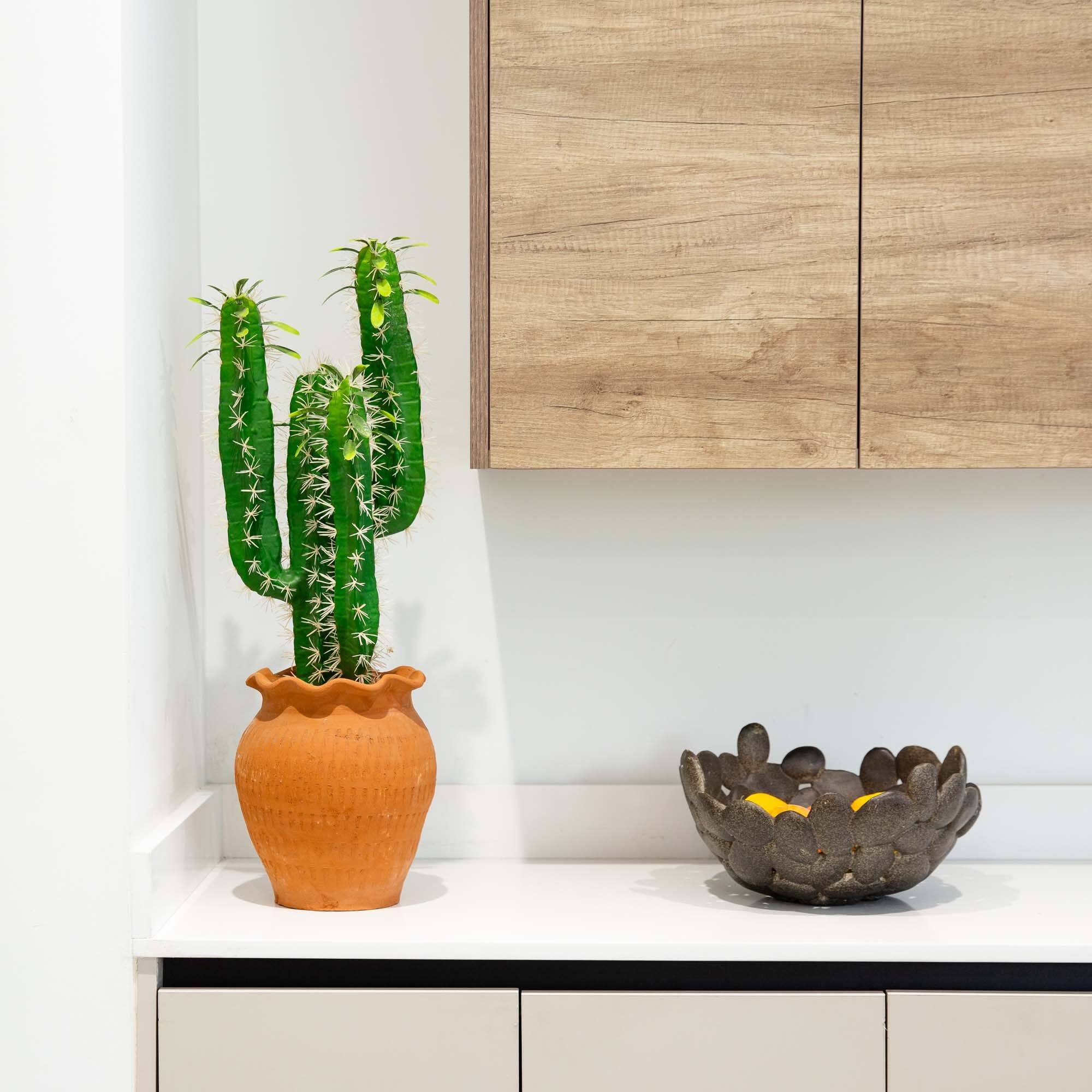2ft. Cactus in Terracotta Planter